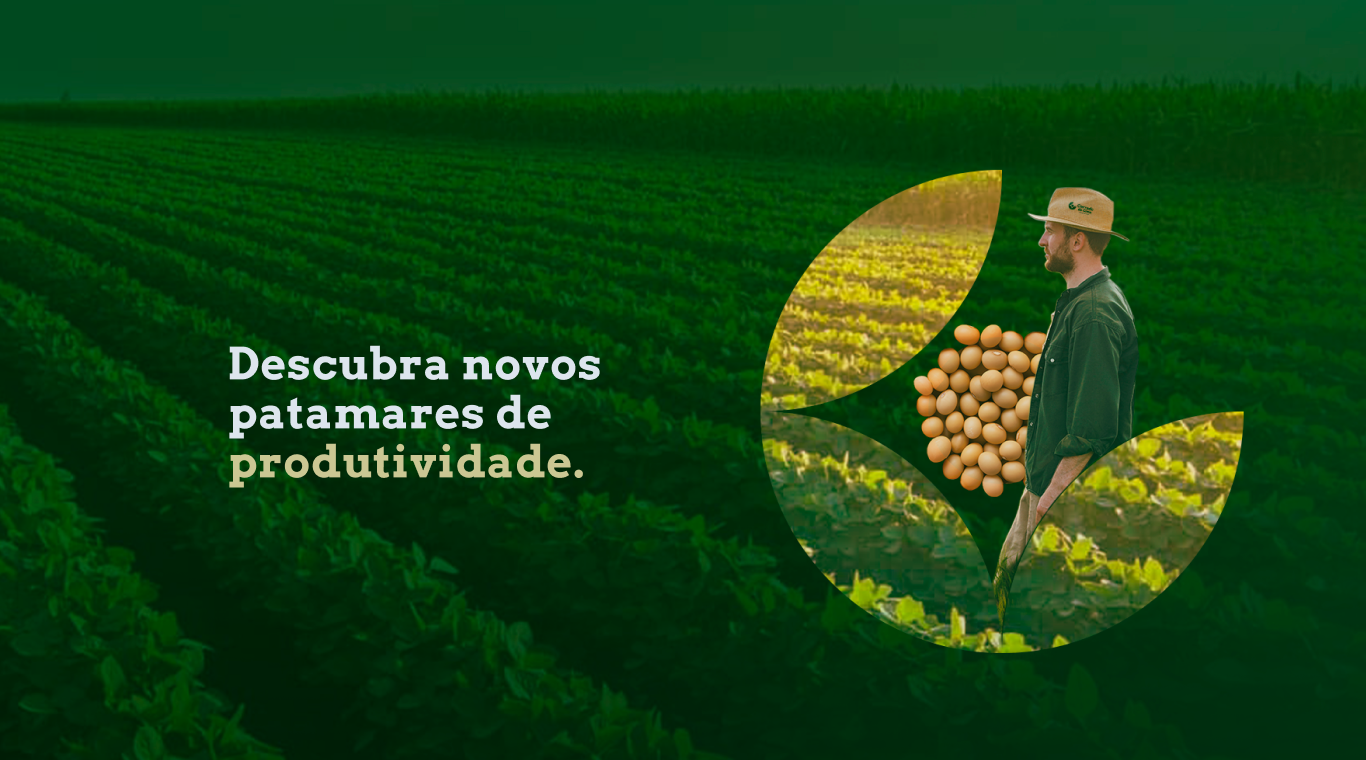 banner desktop