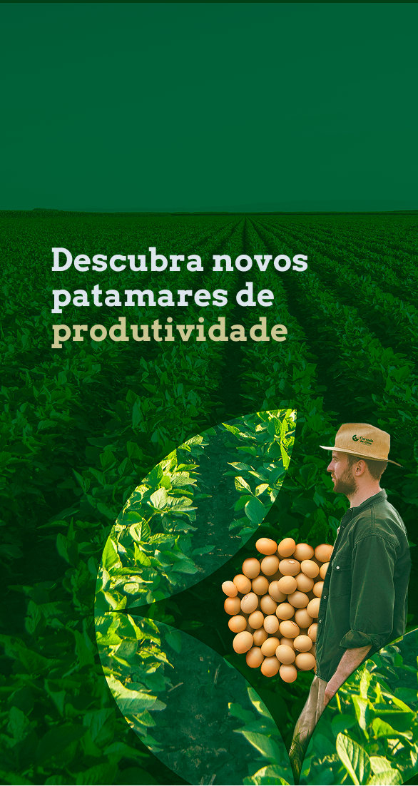 banner mobile